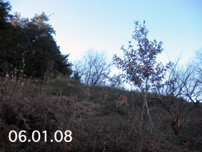 伐採制限区域06.01.08