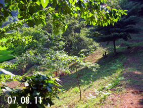 I07.08.11