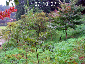 I07.10.27