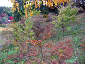 I07.12.01