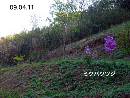 展望広場-09.04.11-3