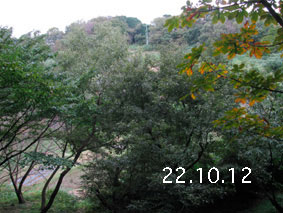 R22.10.12