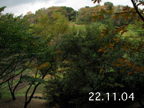 R22.11.4