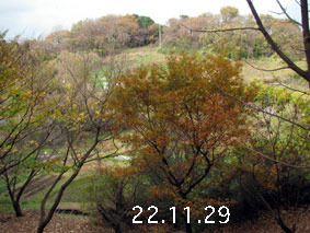 R22.11.29