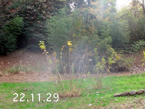 |1|22.11.29