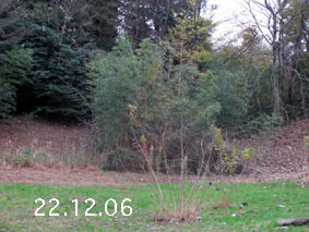 |1|22.12.6