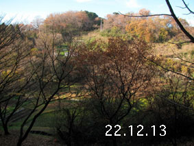 R22.12.13