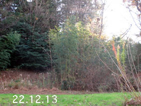|1|22.12.13