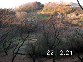 R22.12.21