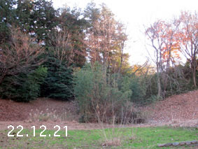 |1|22.12.21