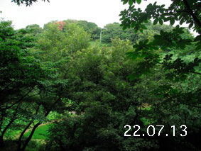 R22.7.13