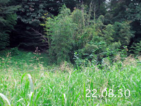 |1|22.8.30