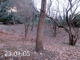 ̐23.1.5