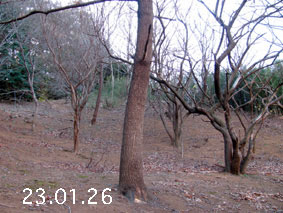 ̐23.1.26