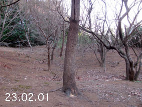 ̐23.2.1