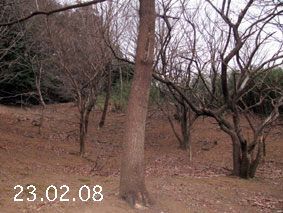 ̐23.2.8