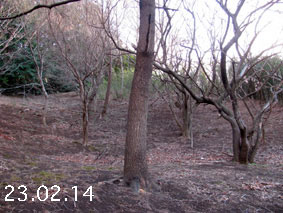 ̐23.2.14