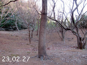 ̐23.2.27
