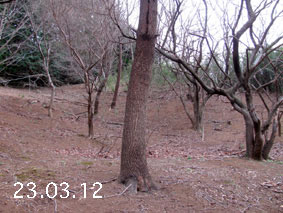 ̐23.3.12
