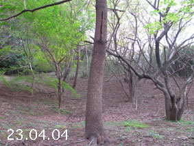 ̐23.4.4