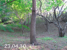 ̐23.4.10