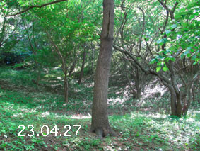 ̐23.4.27