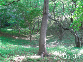 ̐23.5.4