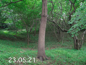 ̐23.5.21