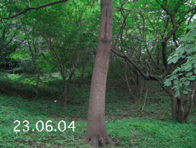 ̐23.6.4