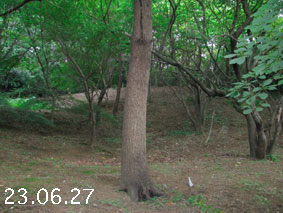 ̐23.6.27