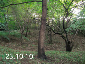 ̐23.10.10