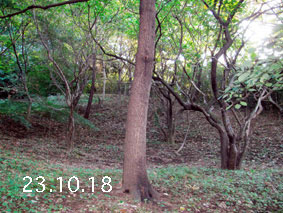 ̐23.10.18