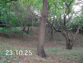 ̐23.10.25