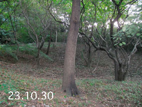 ̐23.10.30