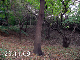 ̐23.11.9