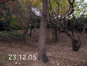 ̐23.12.5