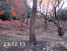 ̐23.12.13