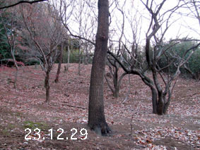 ̐23.12.29