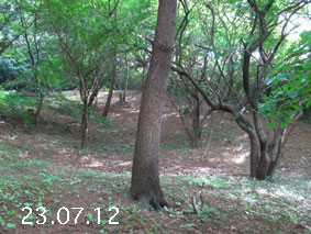 ̐23.7.12