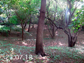 ̐23.7.18