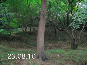 ̐23.8.10