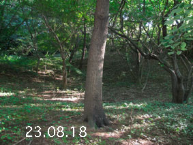 ̐23.8.18