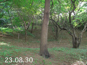 ̐23.8.30