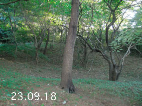 ̐23.9.18