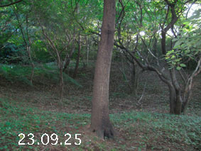 ̐23.9.25