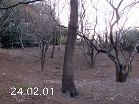 ̐24.2.1