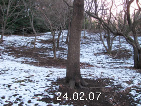 ̐24.2.7