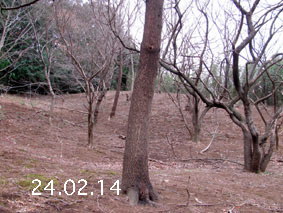 ̐24.2.14
