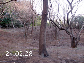 ̐24.2.28