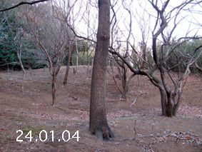 ̐24.1.4